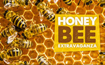 Honey Bee Extravaganza
